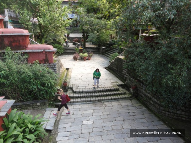photo 173914