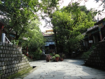 photo 173915