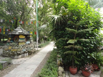 photo 174019