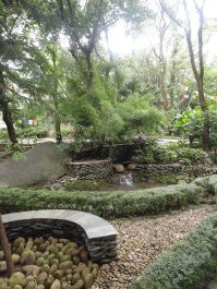 photo 174077