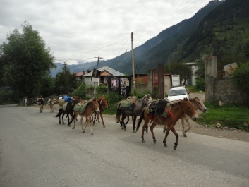 photo 174164