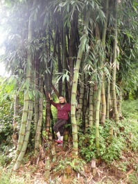 photo 174183
