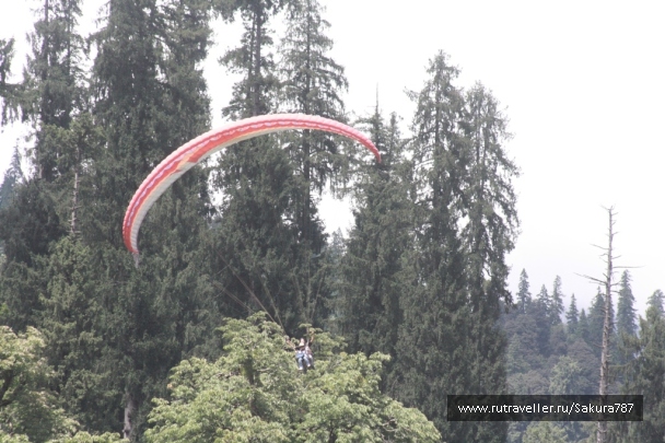 photo 174192