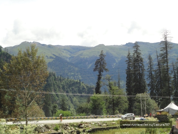 photo 174199