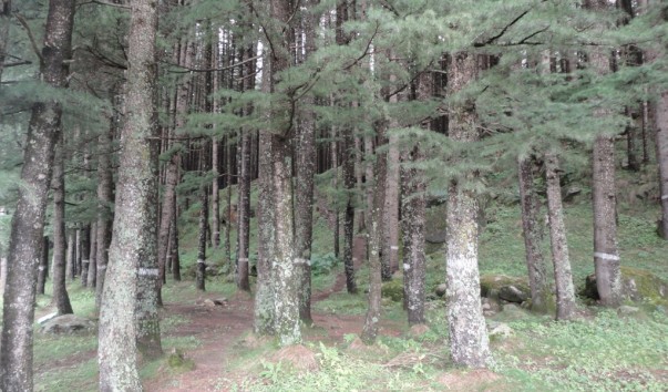 DSC02001