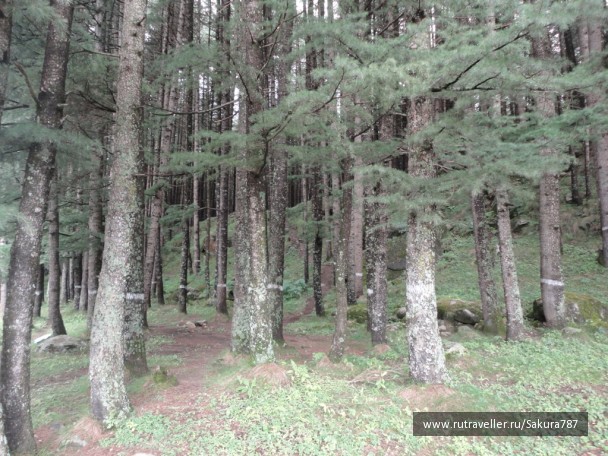 photo 174205