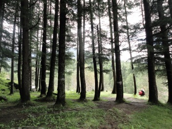 photo 174207