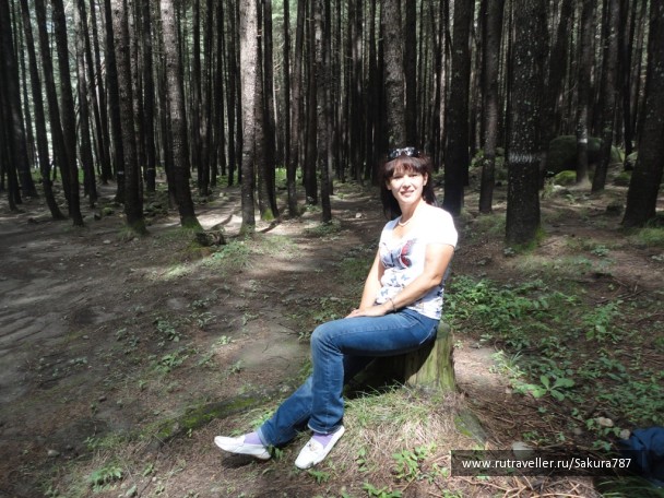 photo 174210