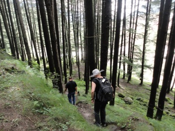 photo 174211