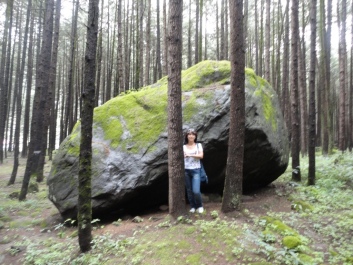 photo 174212