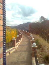 photo 186466