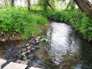 photo 421729
