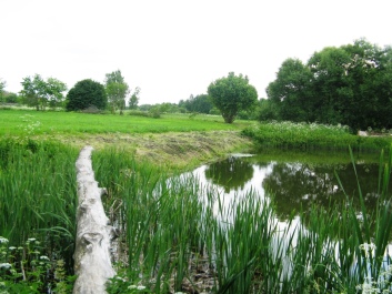 photo 421742