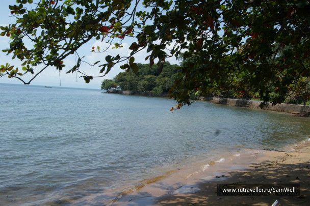 photo 201216