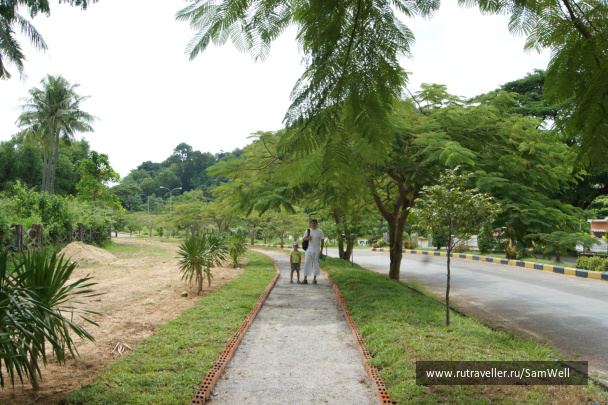 photo 201219