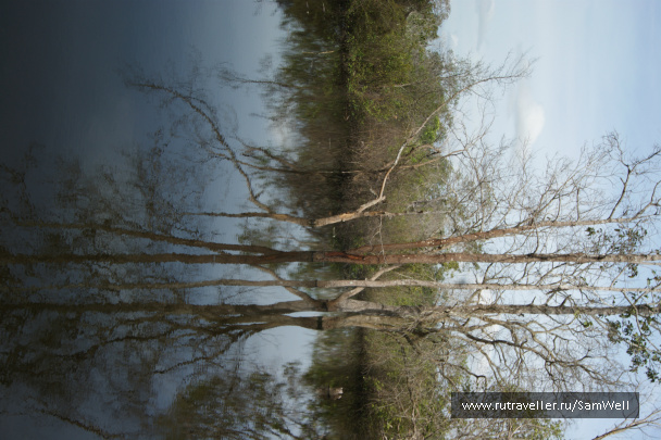 photo 201325