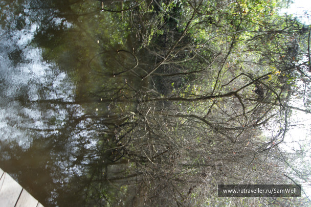 photo 201327