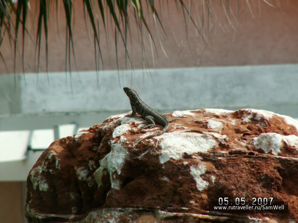photo 224900