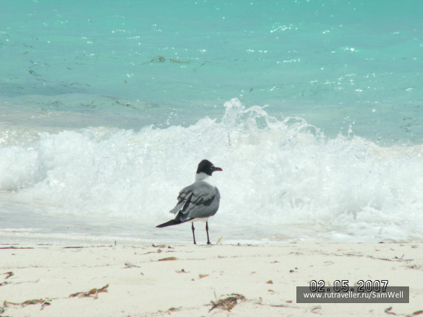 photo 224910