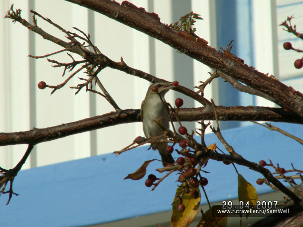 photo 224918
