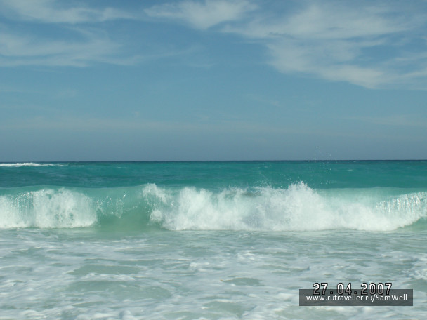 photo 224921