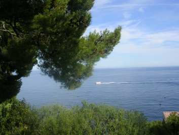 photo 145912
