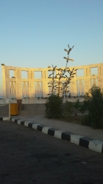 photo 906477