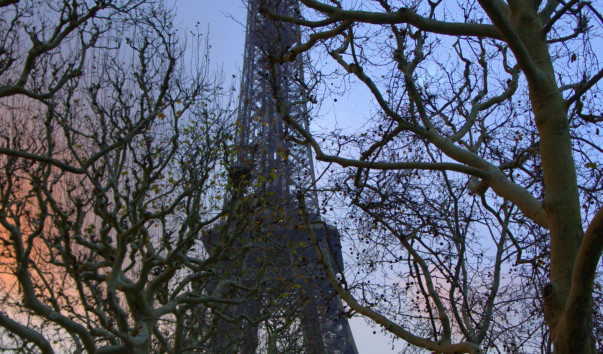 DSC00828-001