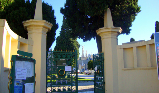 DSC04562
