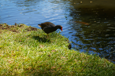 photo 89572