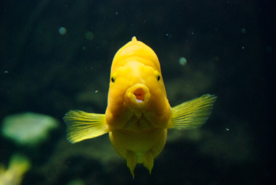 photo 23445
