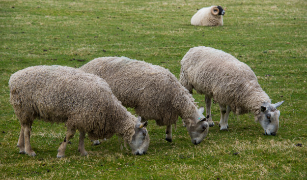 20130502-DSC_1708