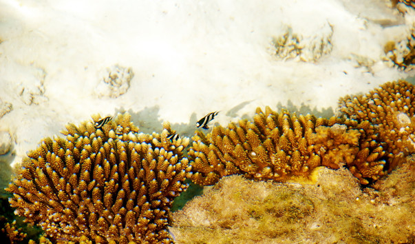 Photo 18.12.11, 17 38 00
