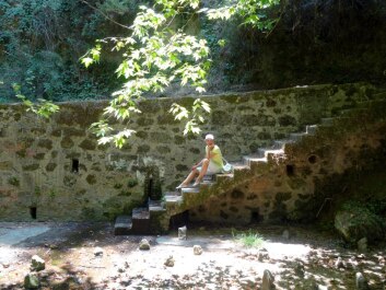 photo 1322458