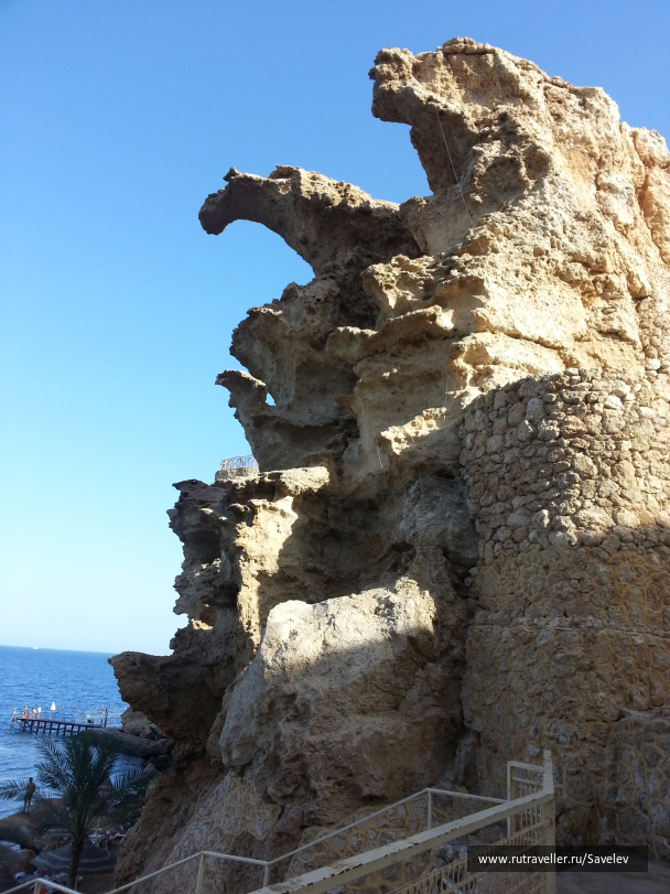 photo 1376809