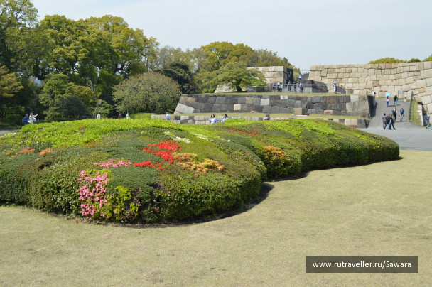 photo 1022126
