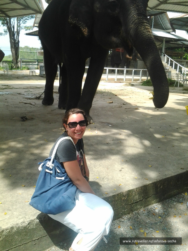 photo 253641