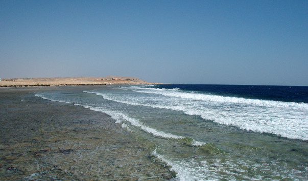 P1014784