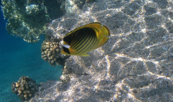 IMG00044