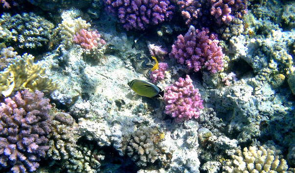 IMG00031