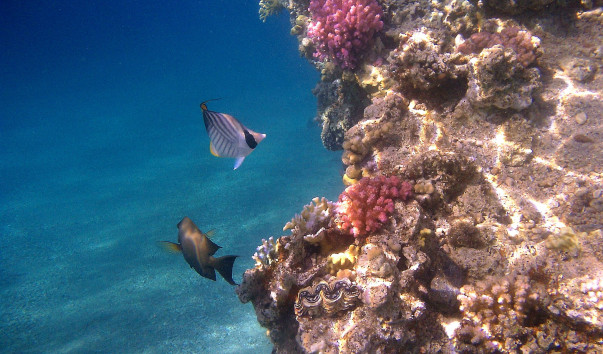 IMG00049