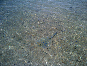 photo 730670