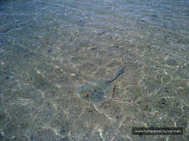 photo 730670