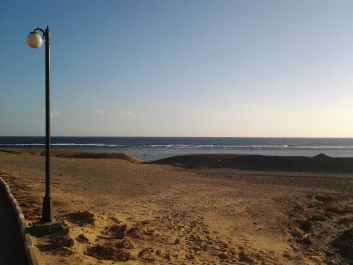 photo 972611