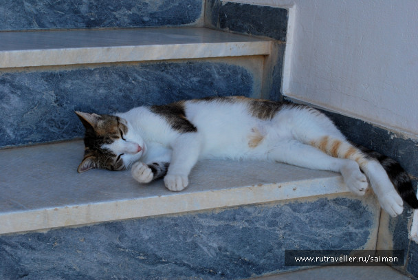 photo 1378683