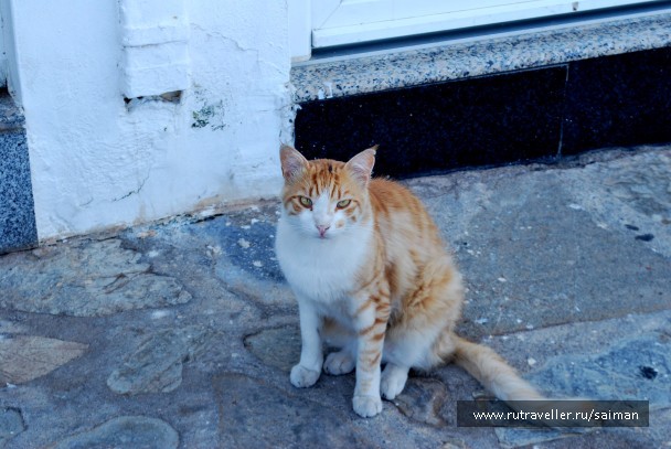 photo 1378684