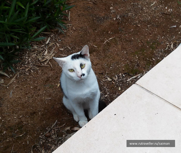 photo 1548094