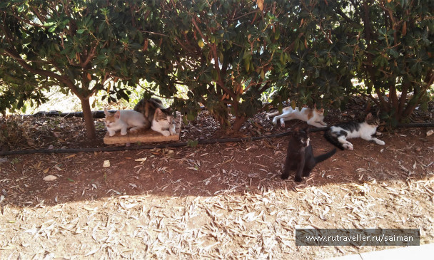 photo 1712405
