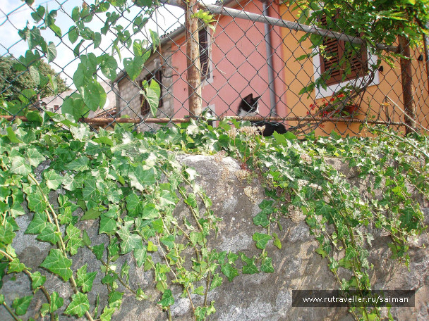 photo 436153