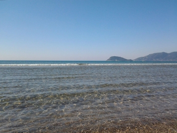 photo 755558